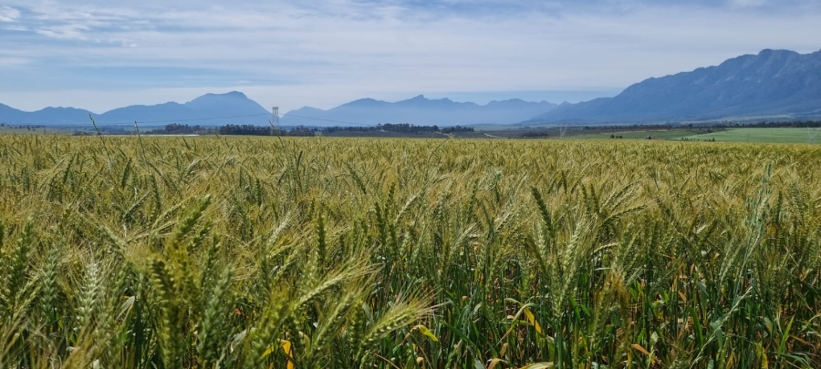 Commercial Property for Sale in Wolseley Western Cape